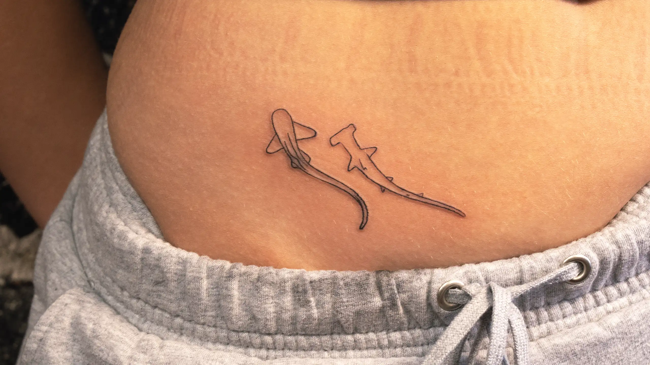 Single-line shark design