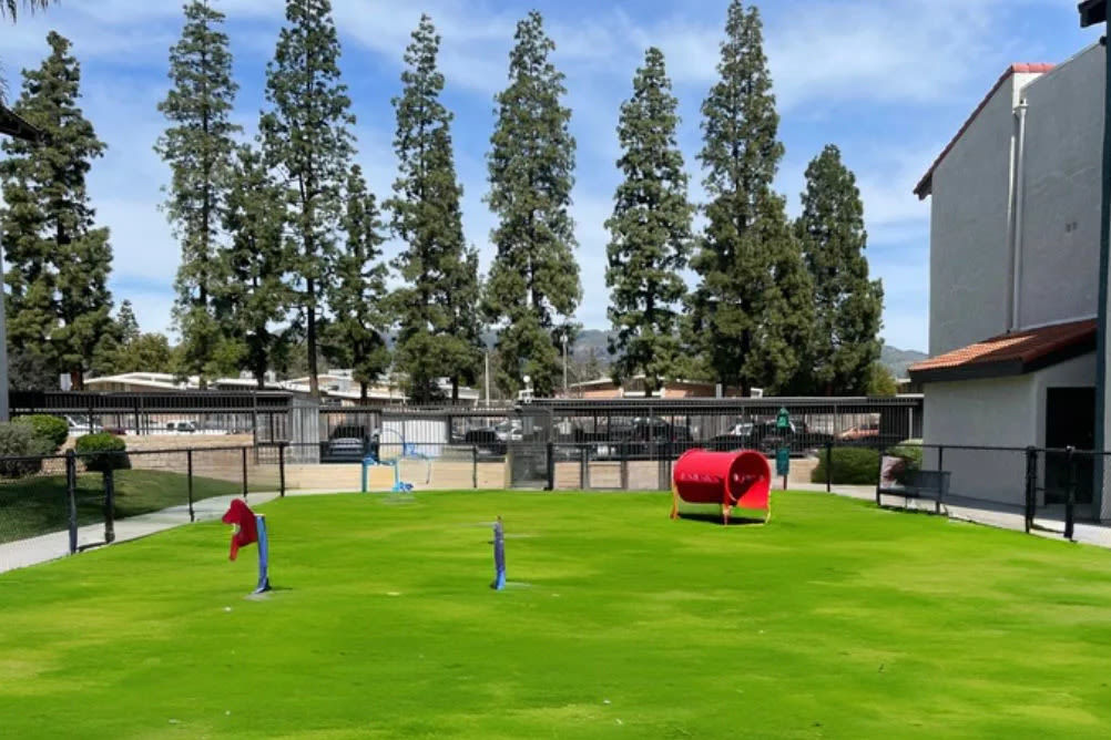 Bark park