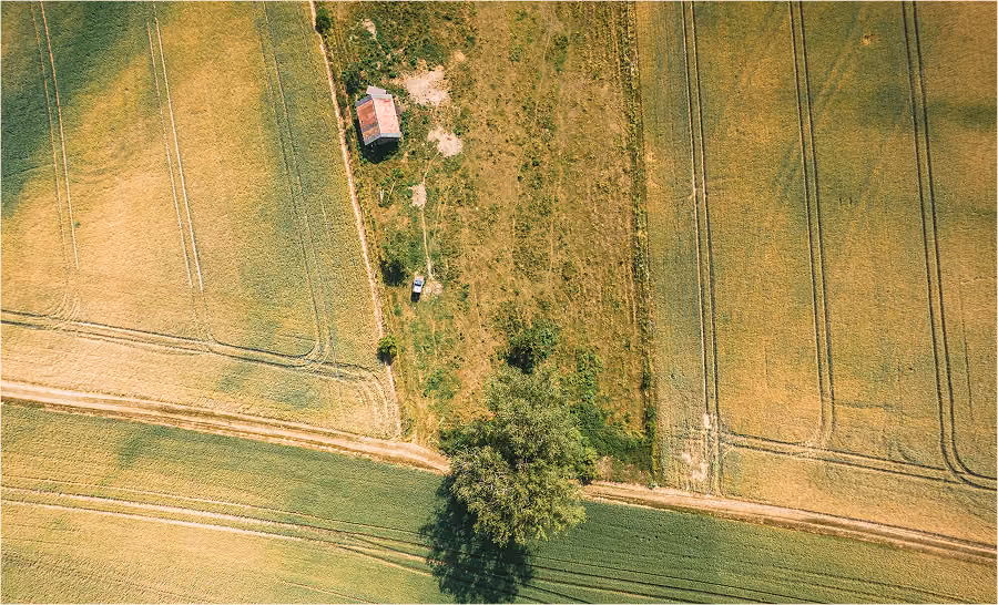 Aerial view of agricultural fields with crop patterns, tree, small building, and dirt paths.