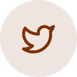twitter logo in brown