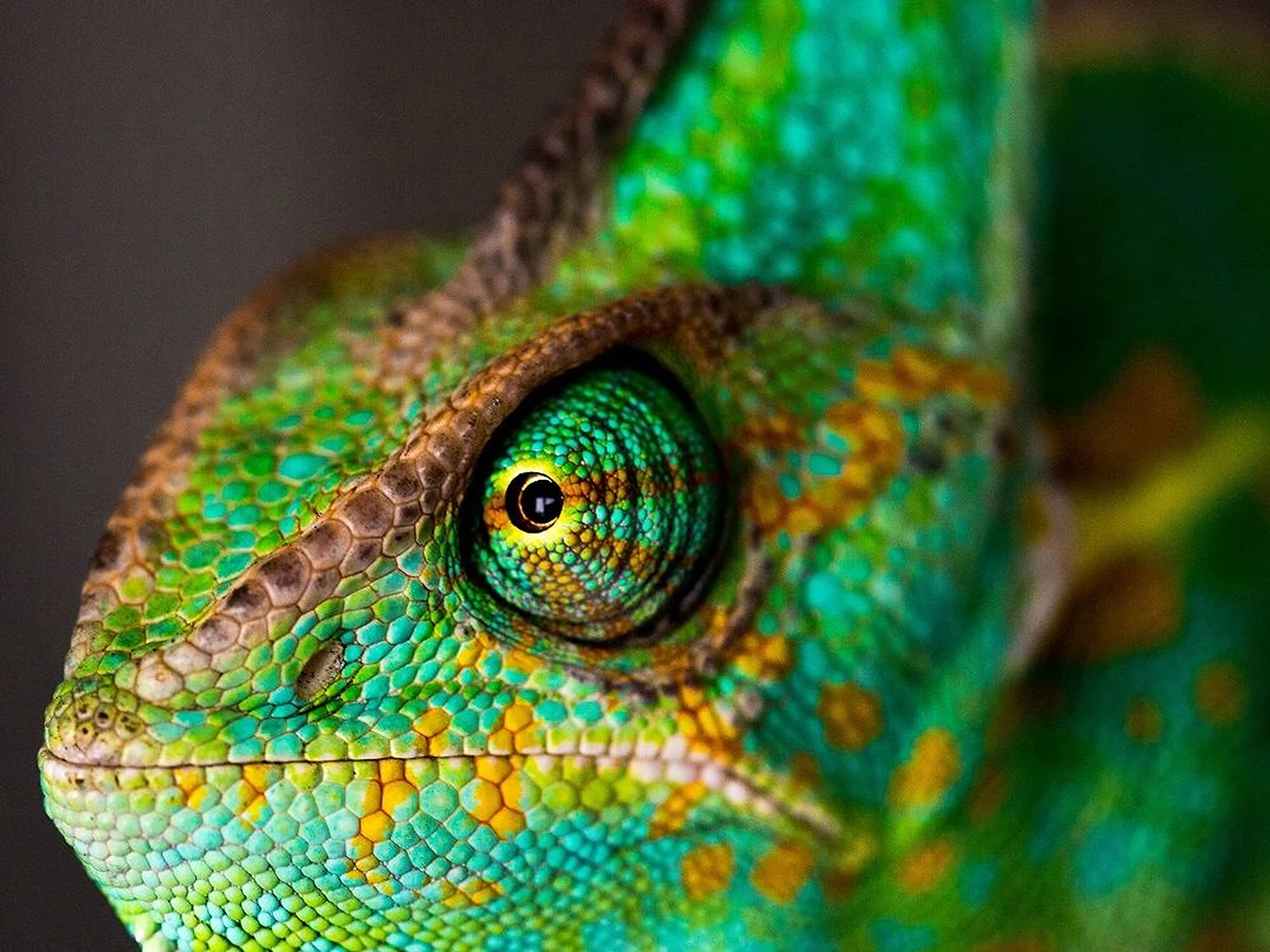 Blog Banner Image