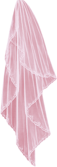 Light pink bridal veil with scalloped lace edges and delicate pleats.