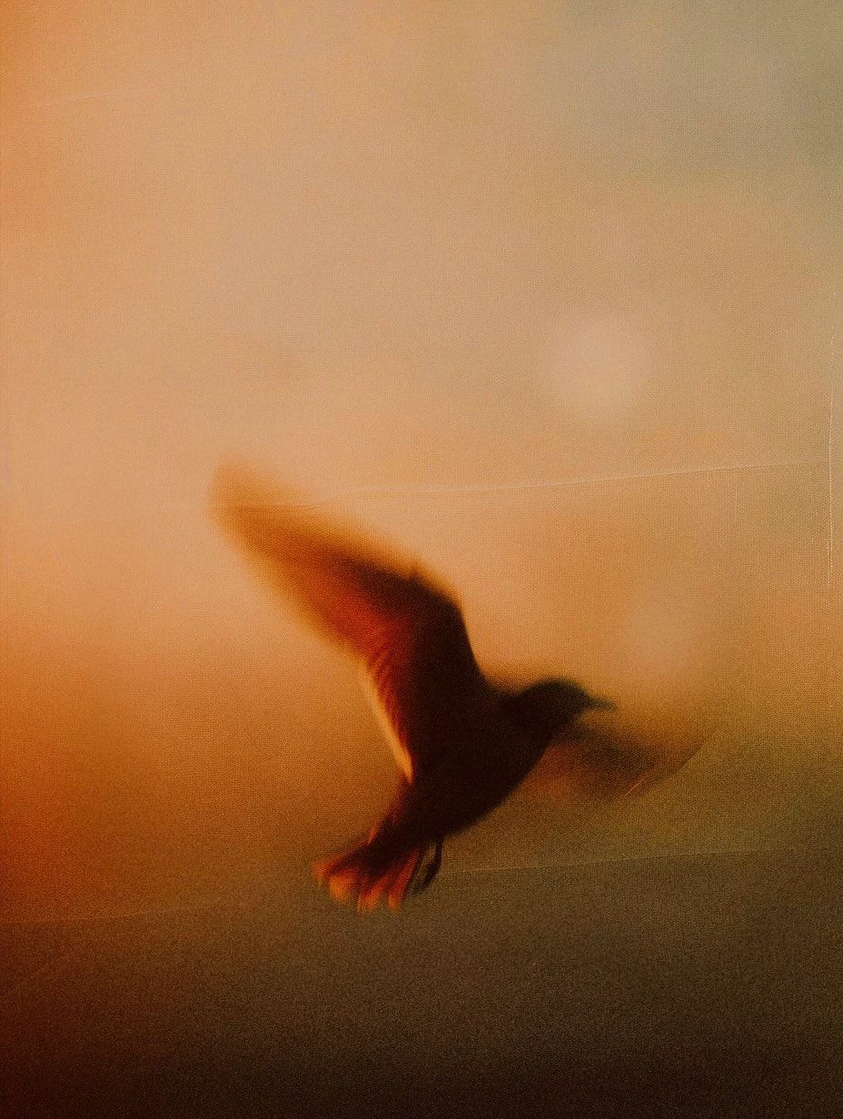 Silhouette of a bird in mid-flight against an orange and brown blurred background.