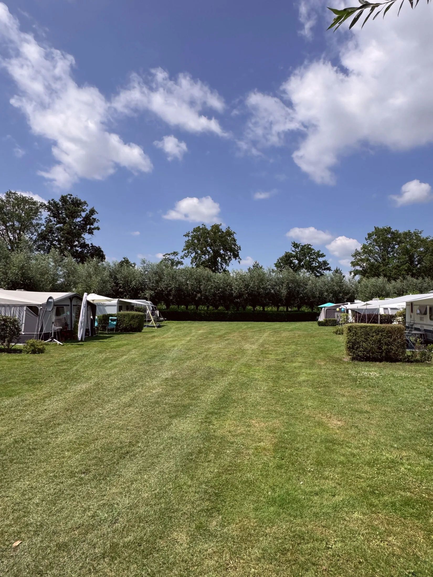 Groen grasveld met caravans links en rechts, omringd door bomen onder een blauwe hemel.