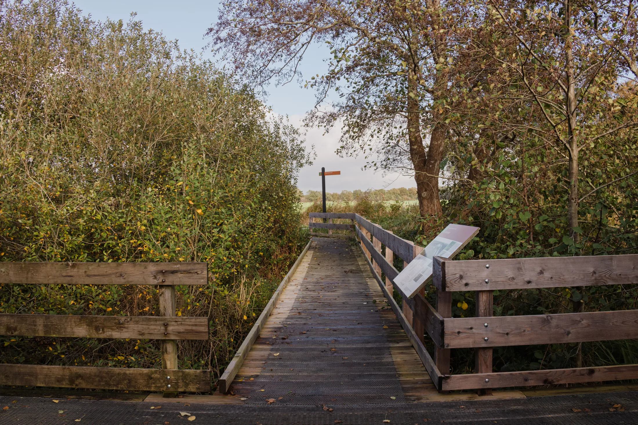 Houten vlonderpad in herfst met bomen en borden langs het wandelpad in natuurgebied.