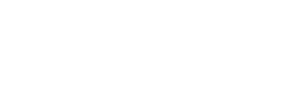 Lightspeed company logo with geometric flame icon next to lowercase text.