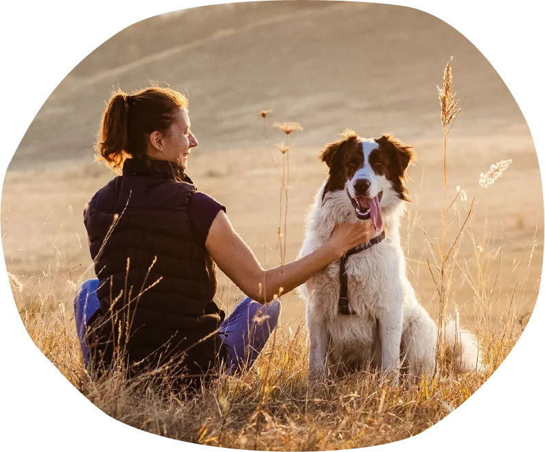 Woman sitting in a field petting a happy dog with tongue out at sunset.