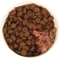 Bowl with 80% kibble and 20% raw dog food.