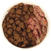 Bowl with 60% kibble and 40% raw dog food.