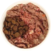 Bowl with 20% kibble and 80% raw dog food.