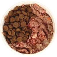 Bowl with 40% kibble and 60% raw dog food.