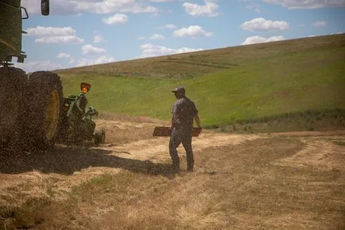 Combine harvesting wheat in a Palouse field
