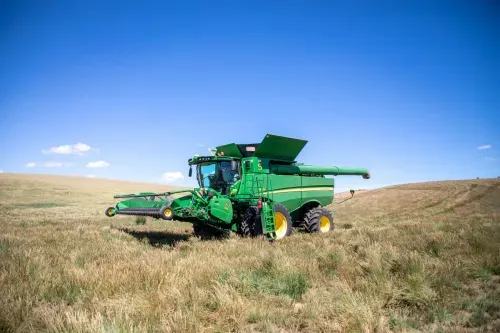 Combine cutting winter wheat