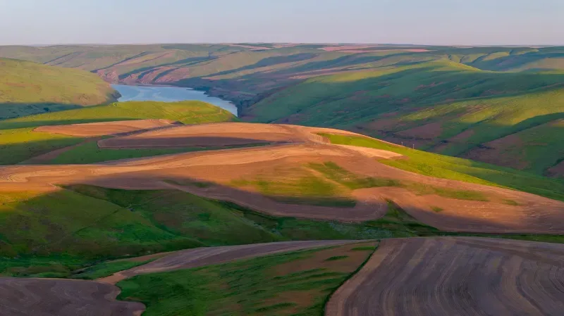 Farming on the Palouse
