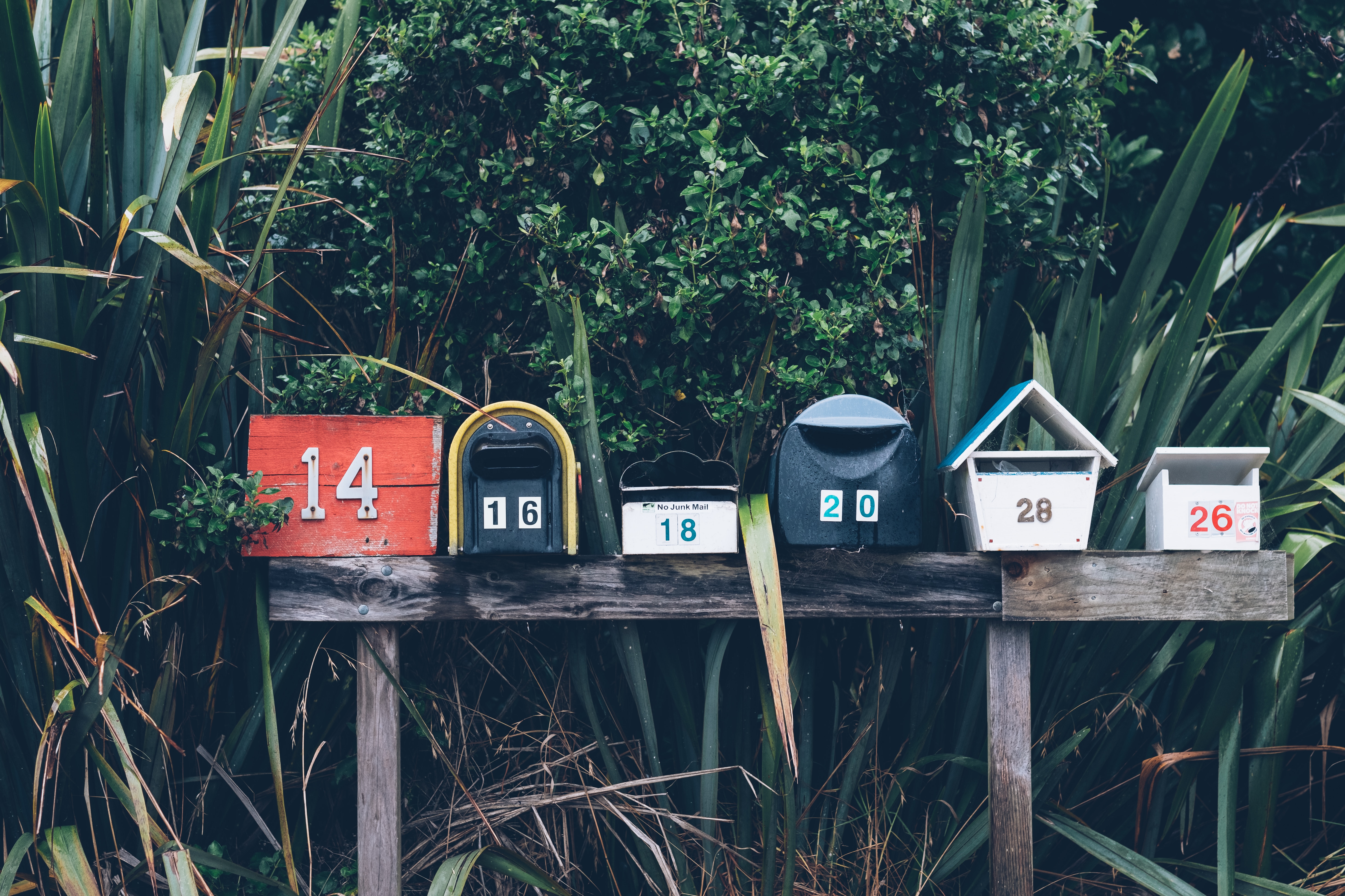 Growing newsletter subscribers
