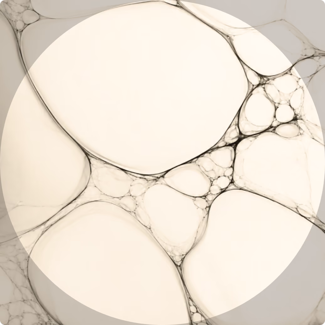 Close-up view of interconnected translucent bubbles of various sizes within a circular frame, creating a delicate network of thin, dark lines on a light background.
