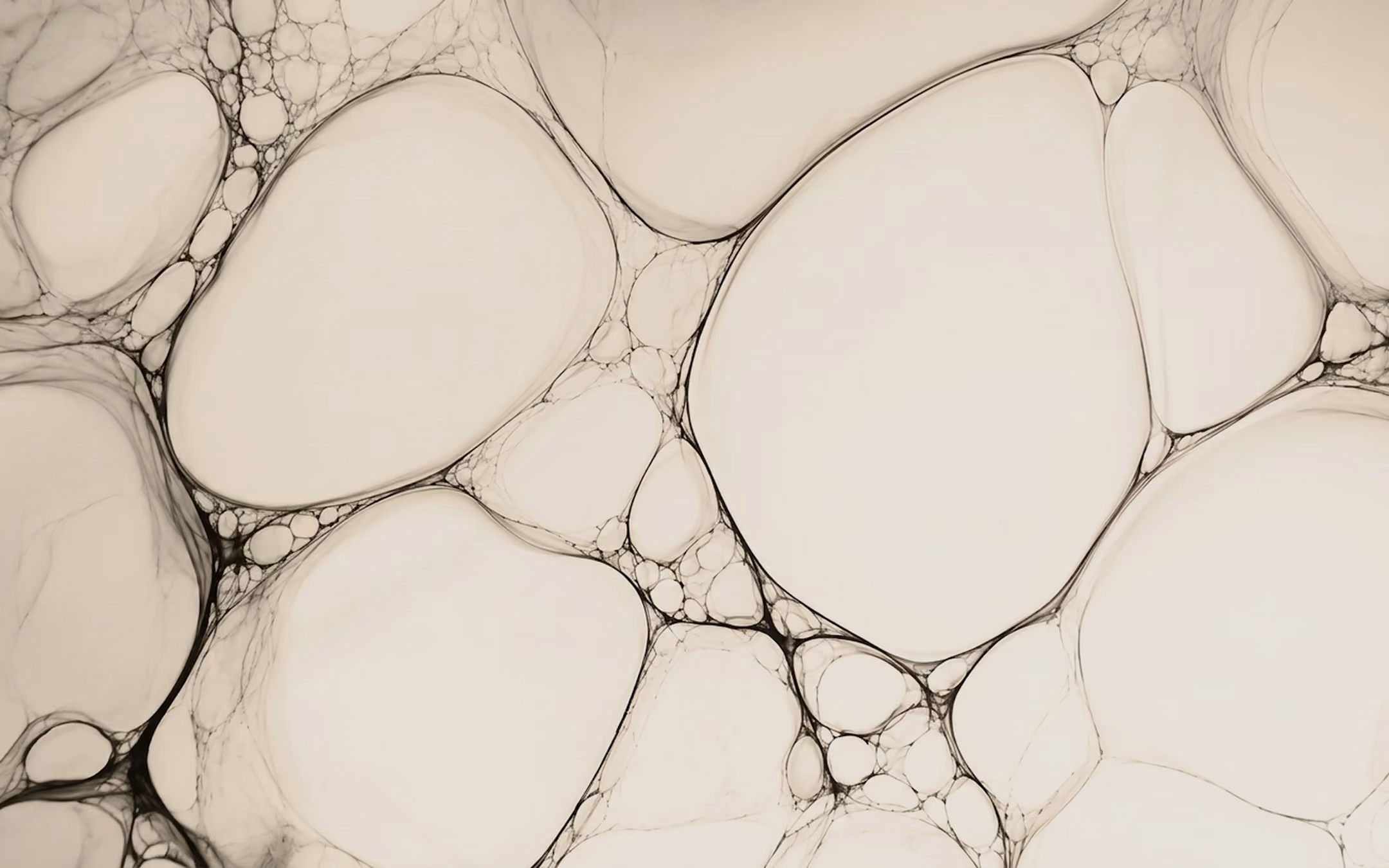 Close-up of interconnected large and small translucent bubbles with thin black outlines on a light background.