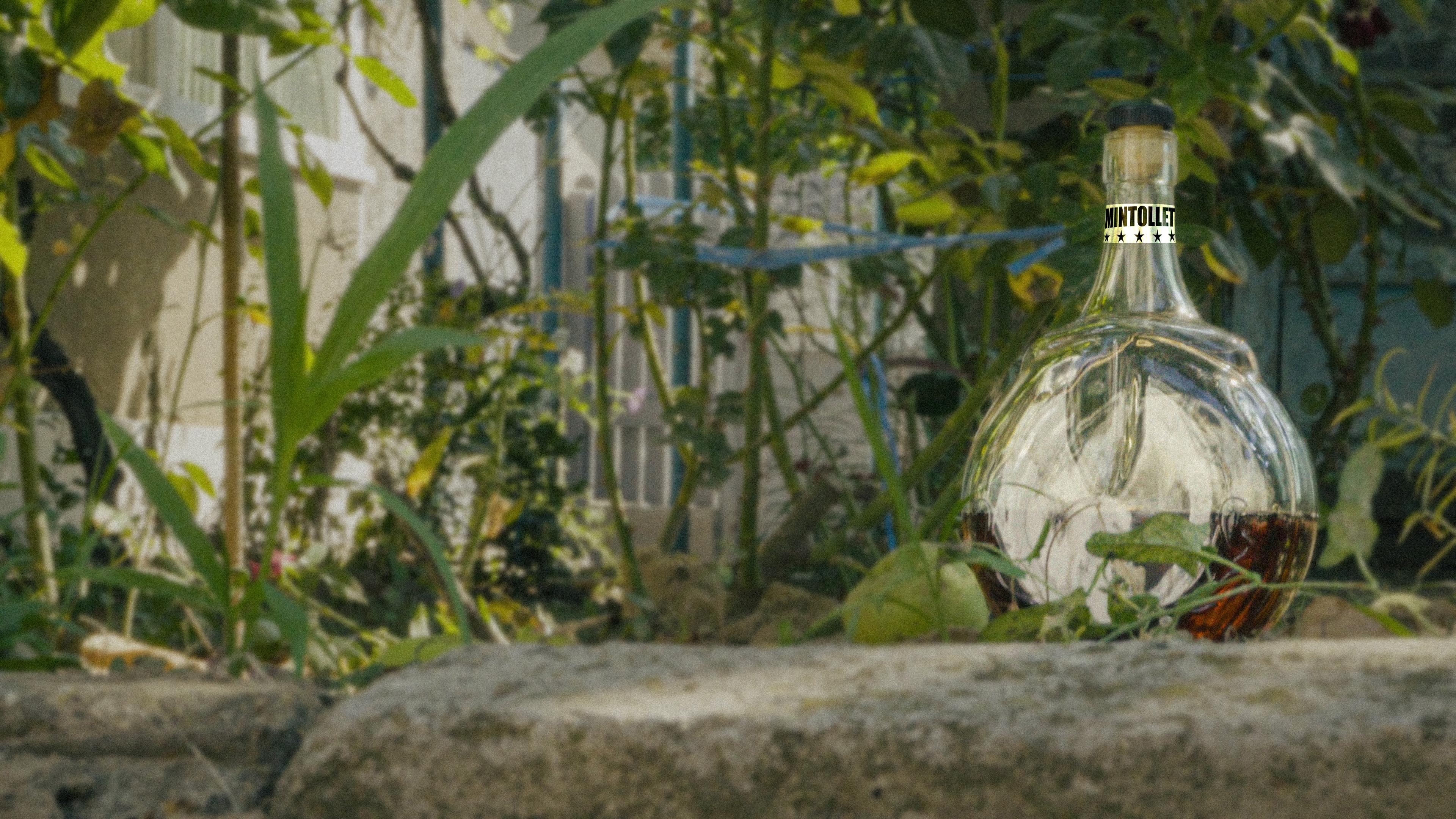 Mintolled bottle, a fine drink, standing in a yard full of vegetation.