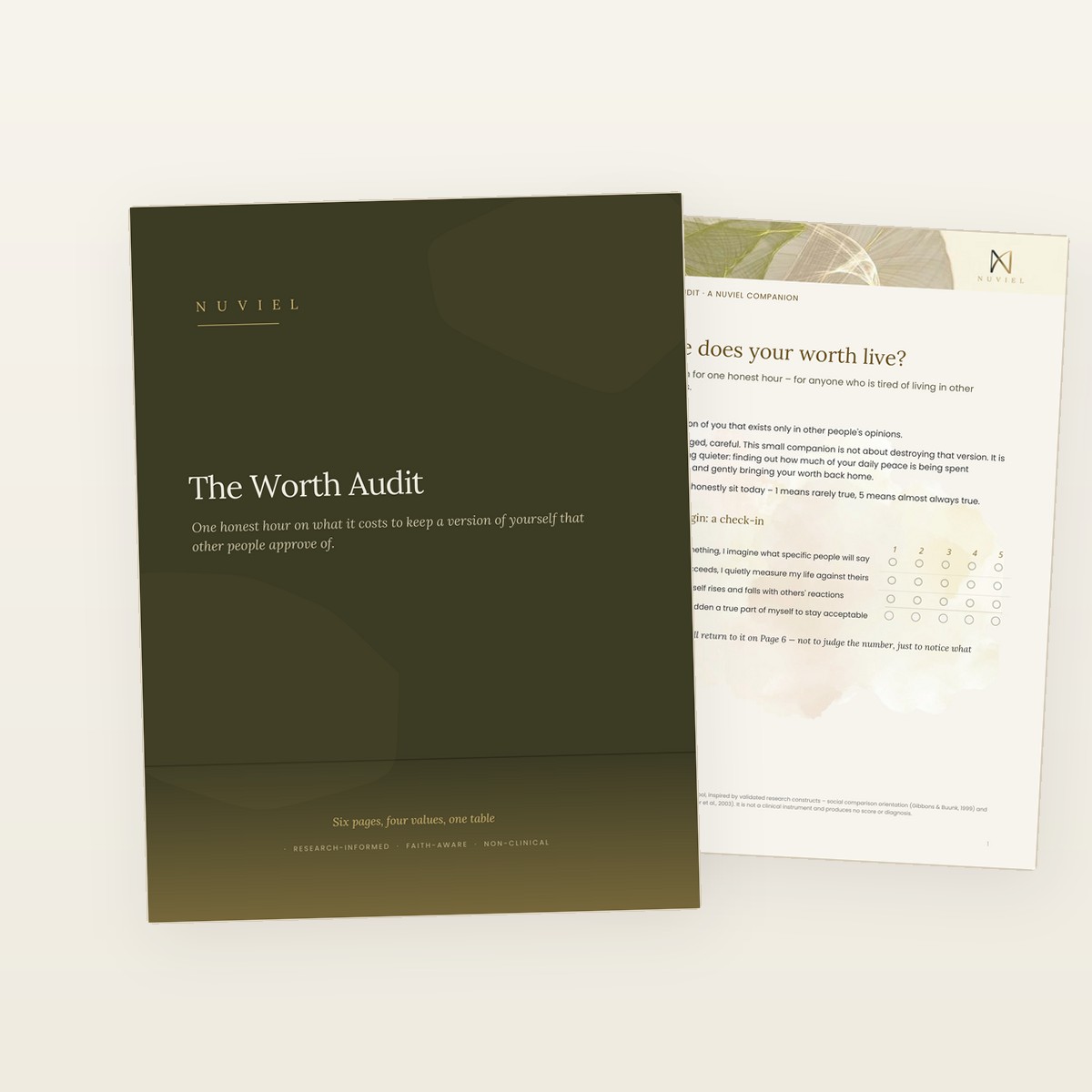 The Worth Audit — olive cover and welcome page of the free companion
