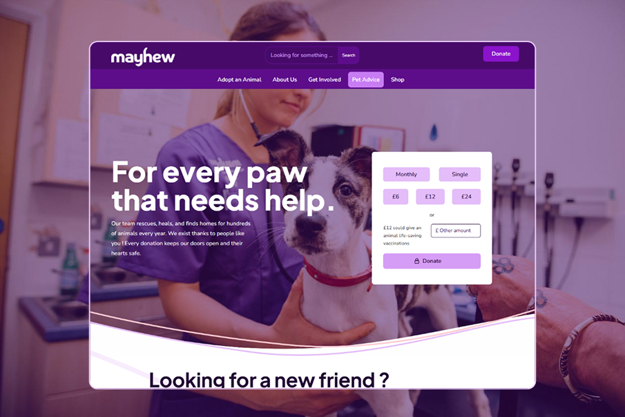 Web design de la page d’adoption présentant les animaux disponibles