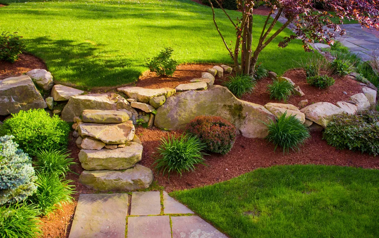 Garden with green grass, stone steps, large rocks, and various shrubs and plants in mulch beds.