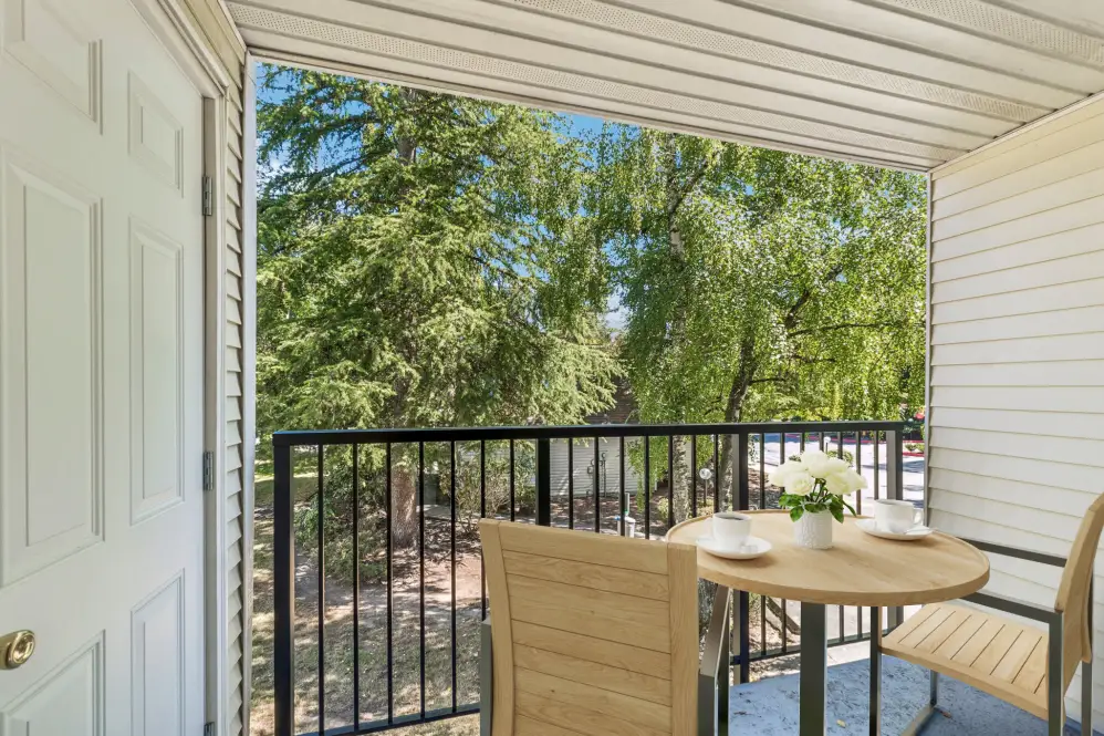 Patio Area