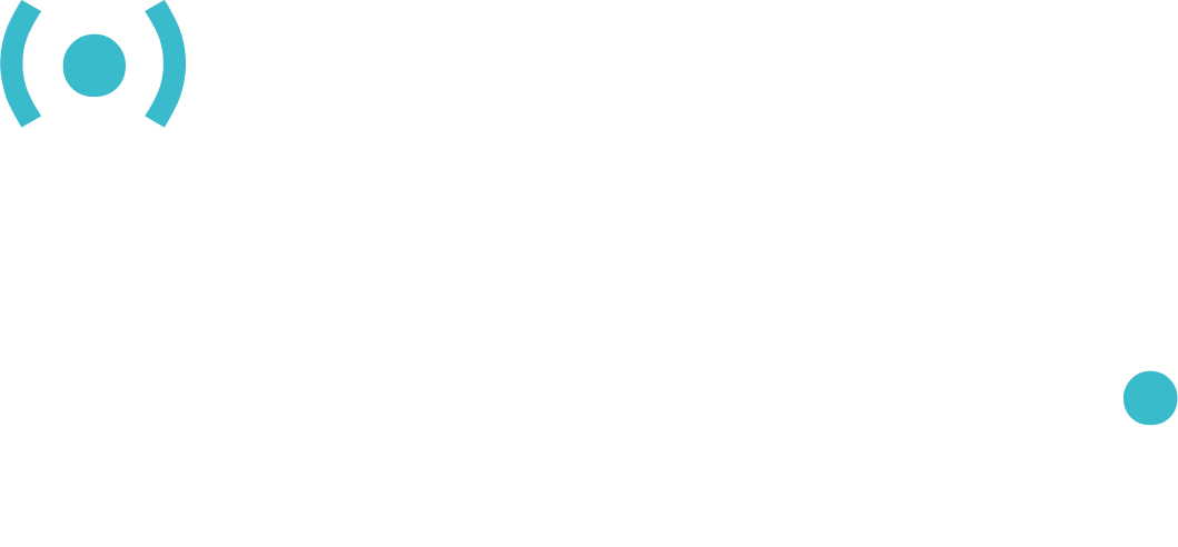 iOpt