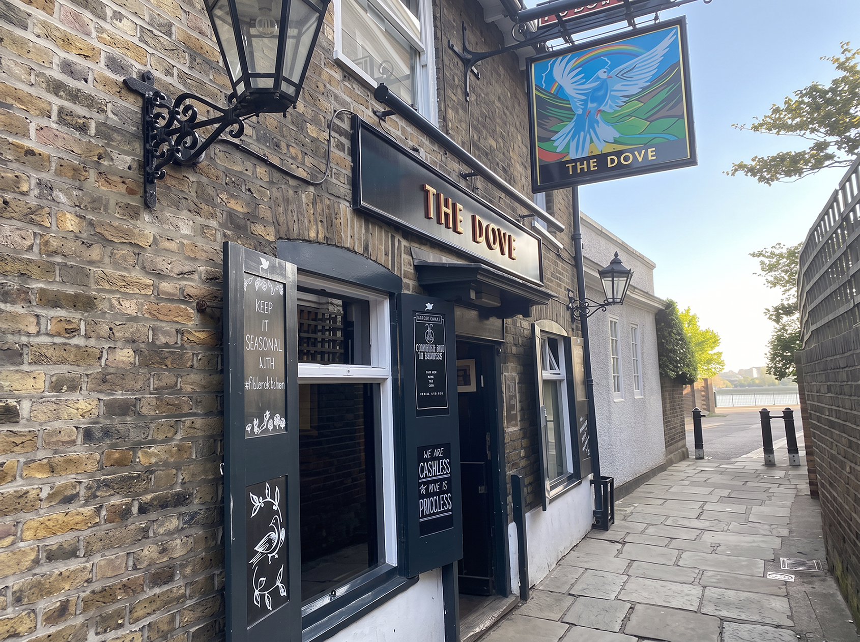 The Dove