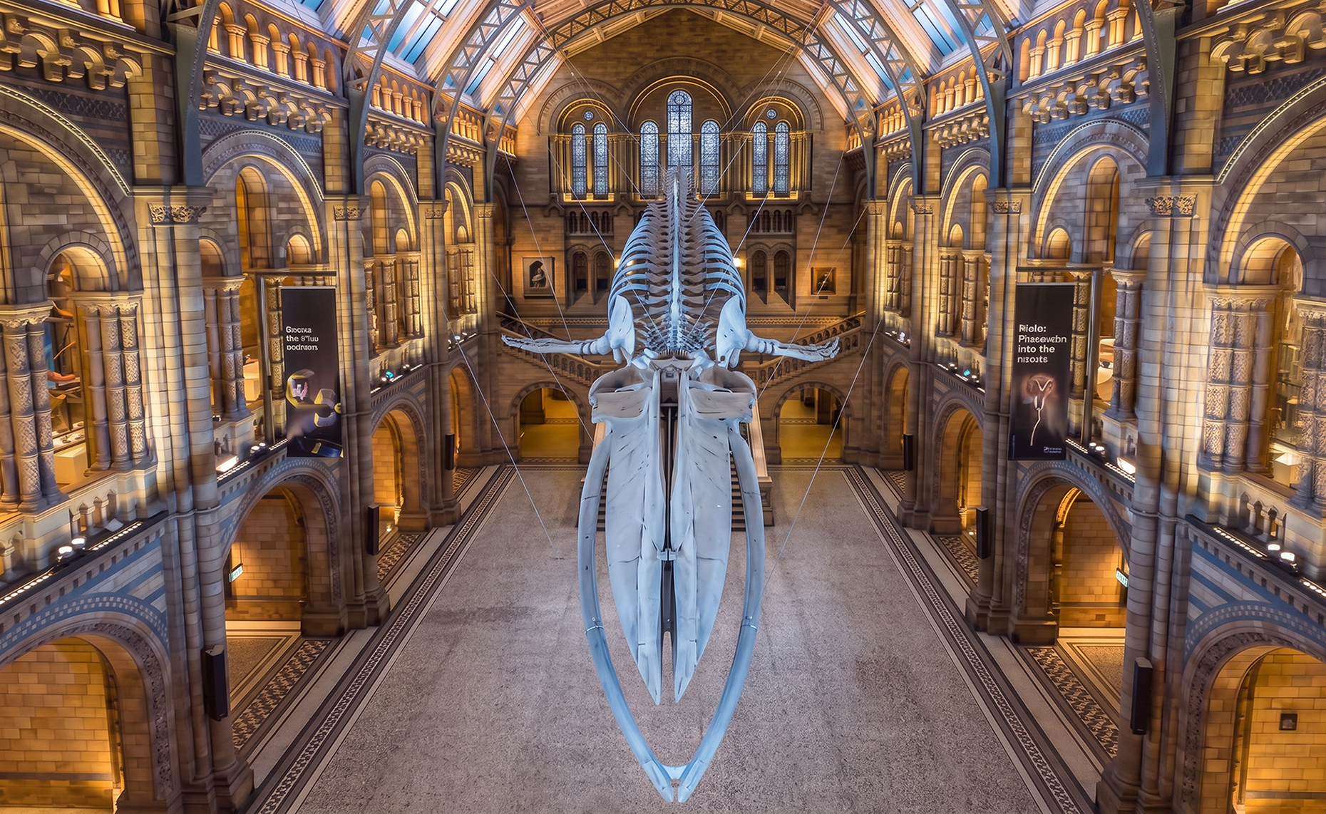 Natural History Museum