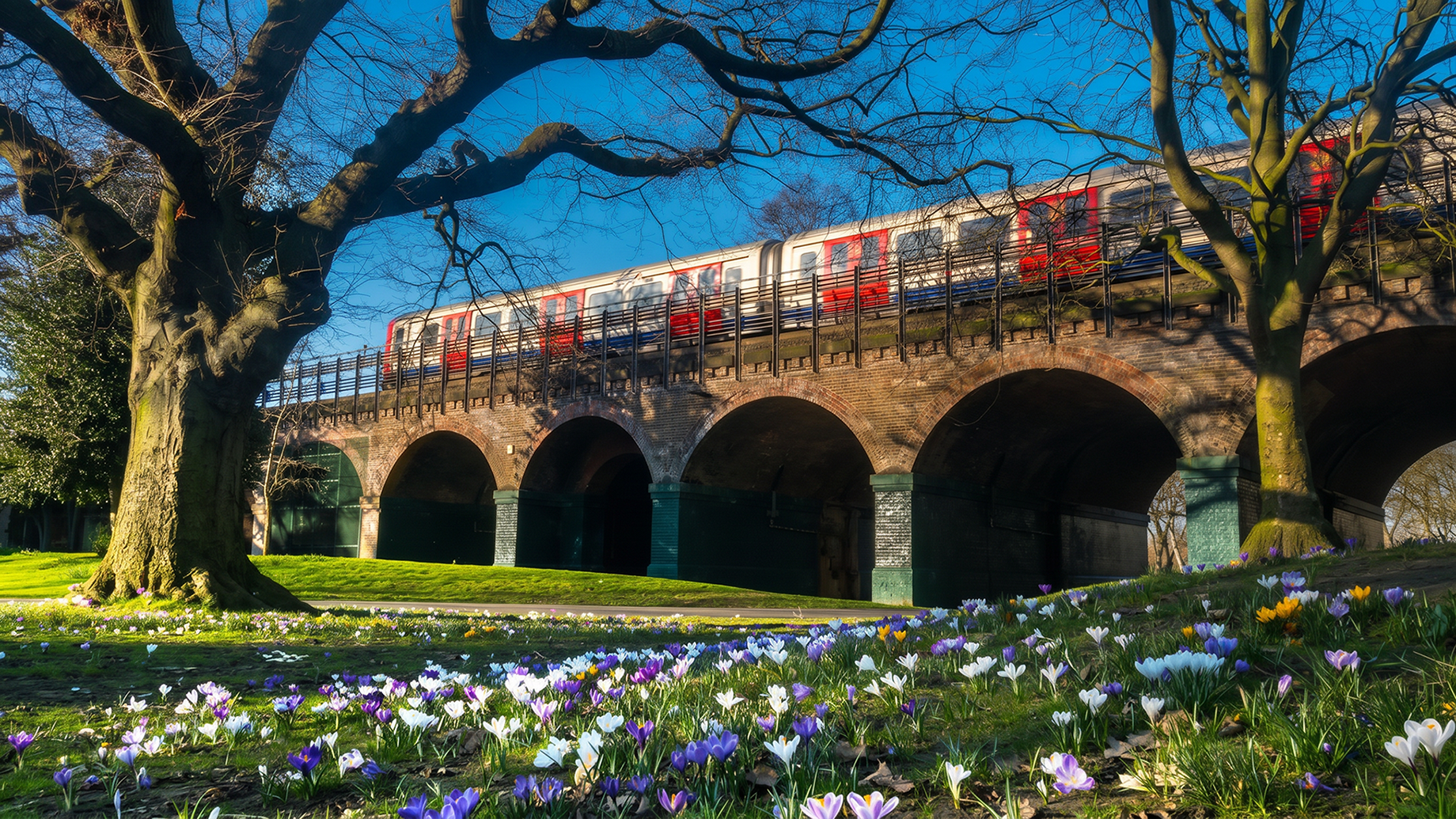 Room to wander · Ravenscourt Park