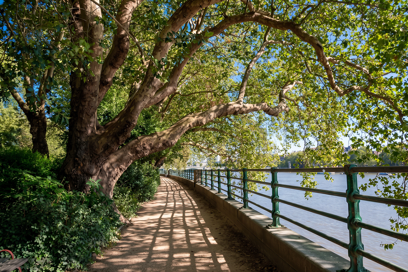 Bishop's Park