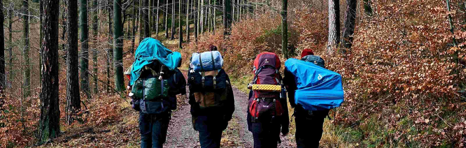 Quatre randonneurs et leurs sacs à dos en montagne