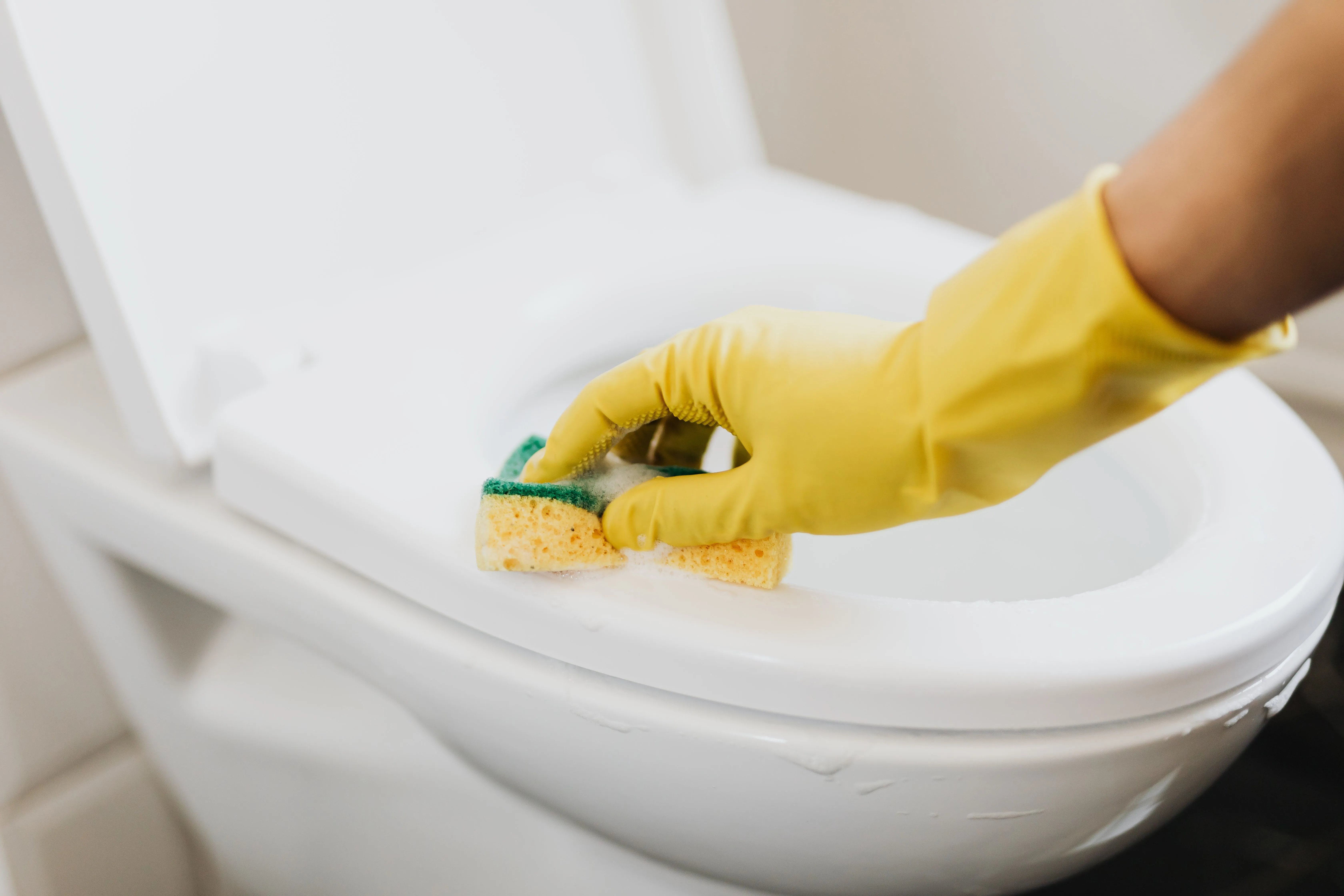City wide cleanings about cleaning