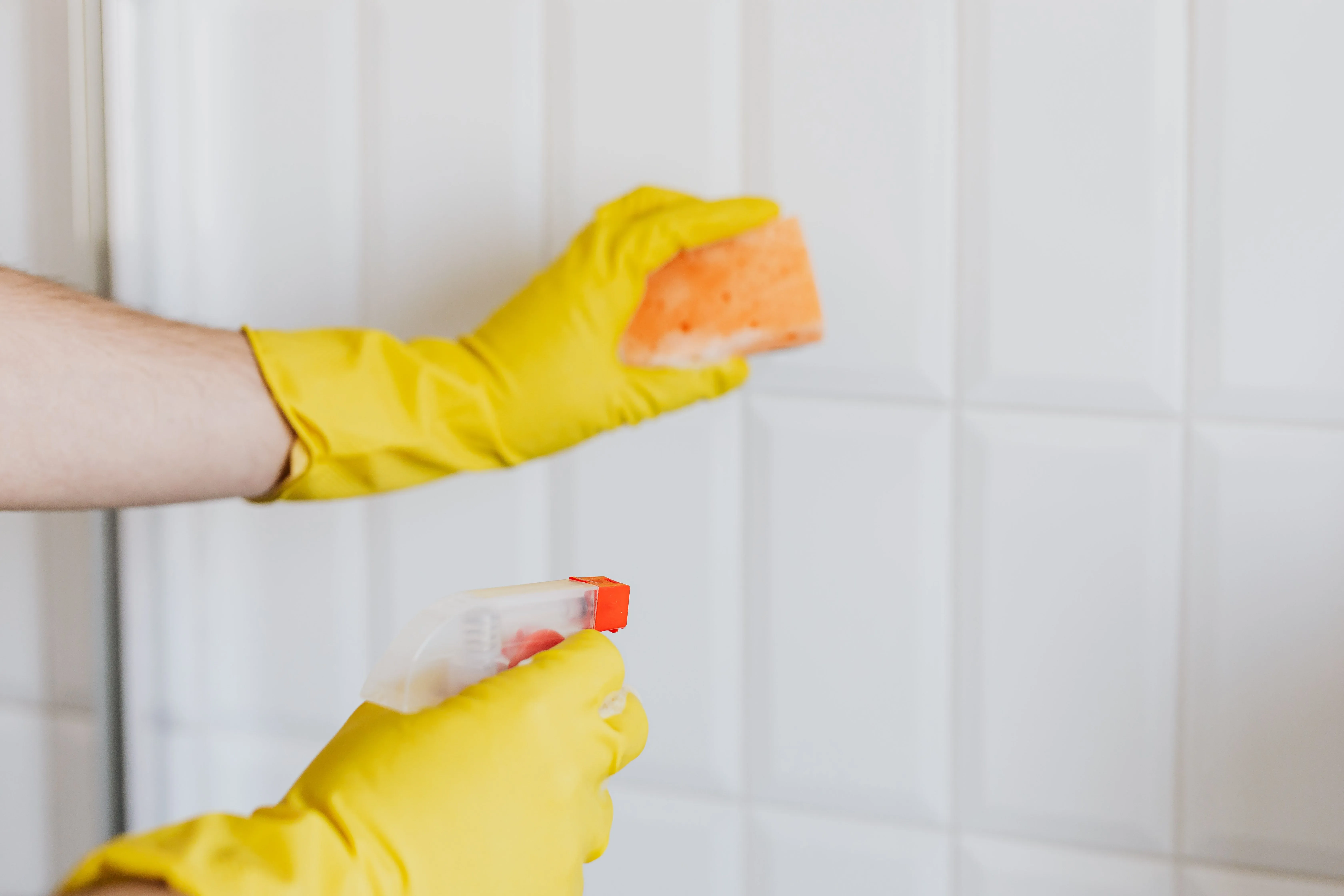 City wide cleanings about cleaning
