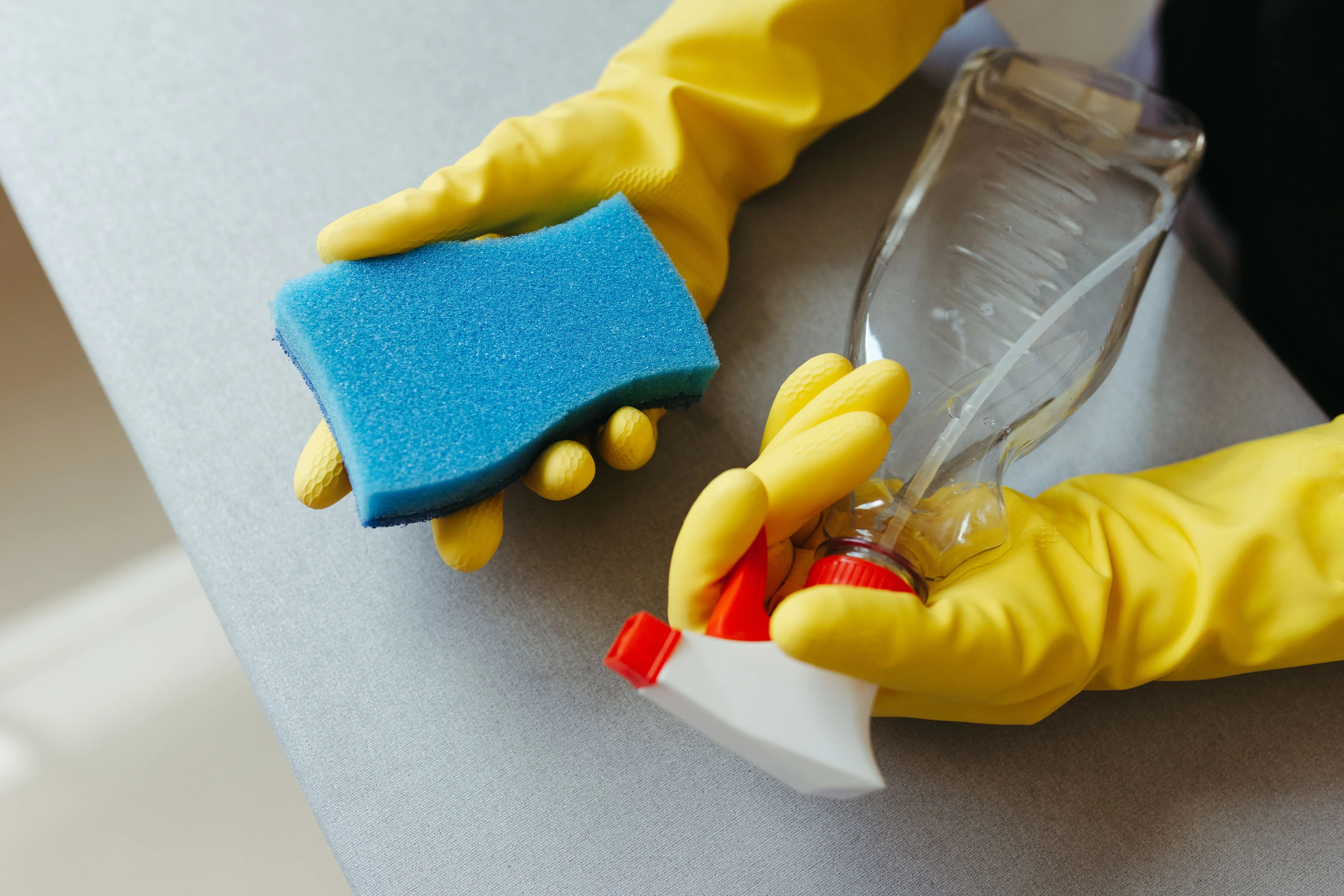 City wide cleanings about cleaning