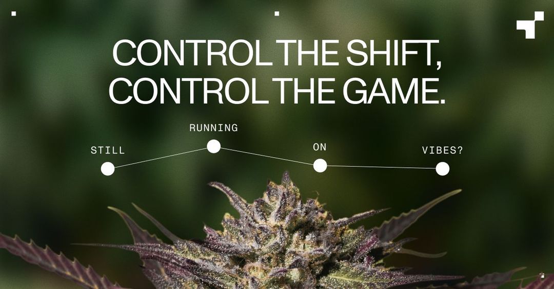 The clock is running on cannabis's biggest compliance shift in 20 years