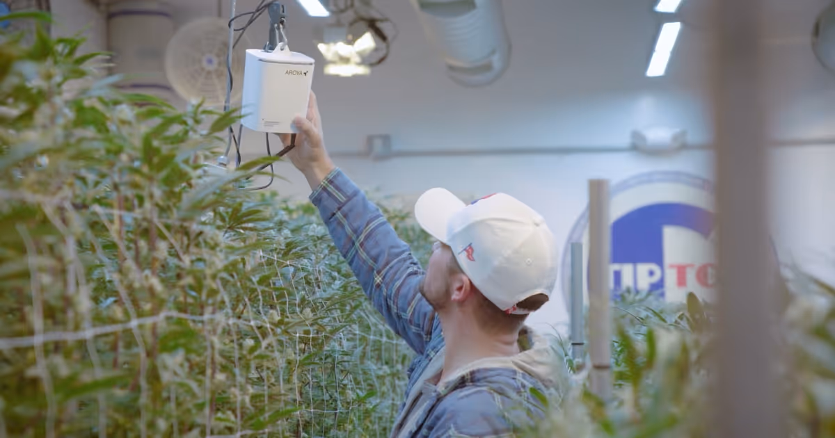 Michigan growers share secrets to staying on top