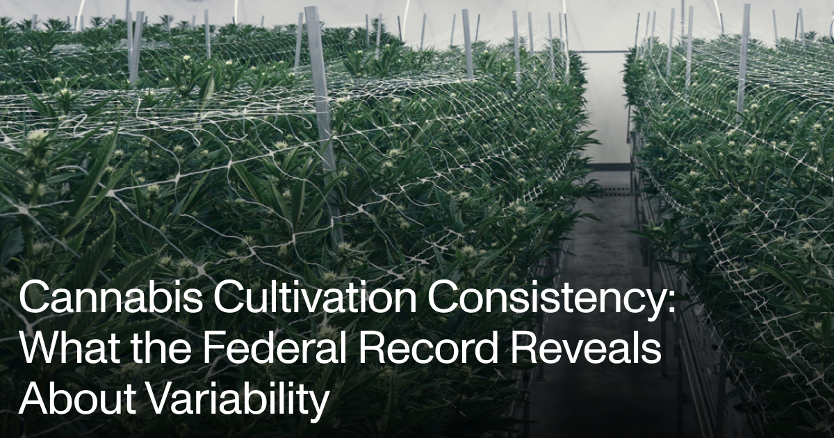 What the DEA Record Reveals About Cannabis Consistency
