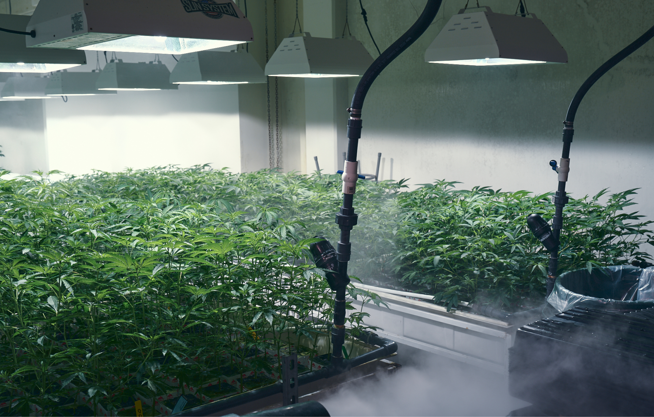 AROYA announces truly intelligent irrigation