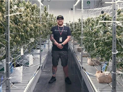 Top-shelf edible experience