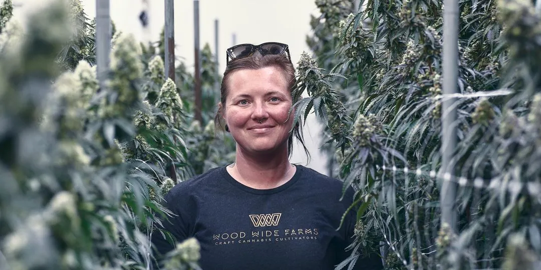 High-tech commercial grow room with AROYA sensors installed