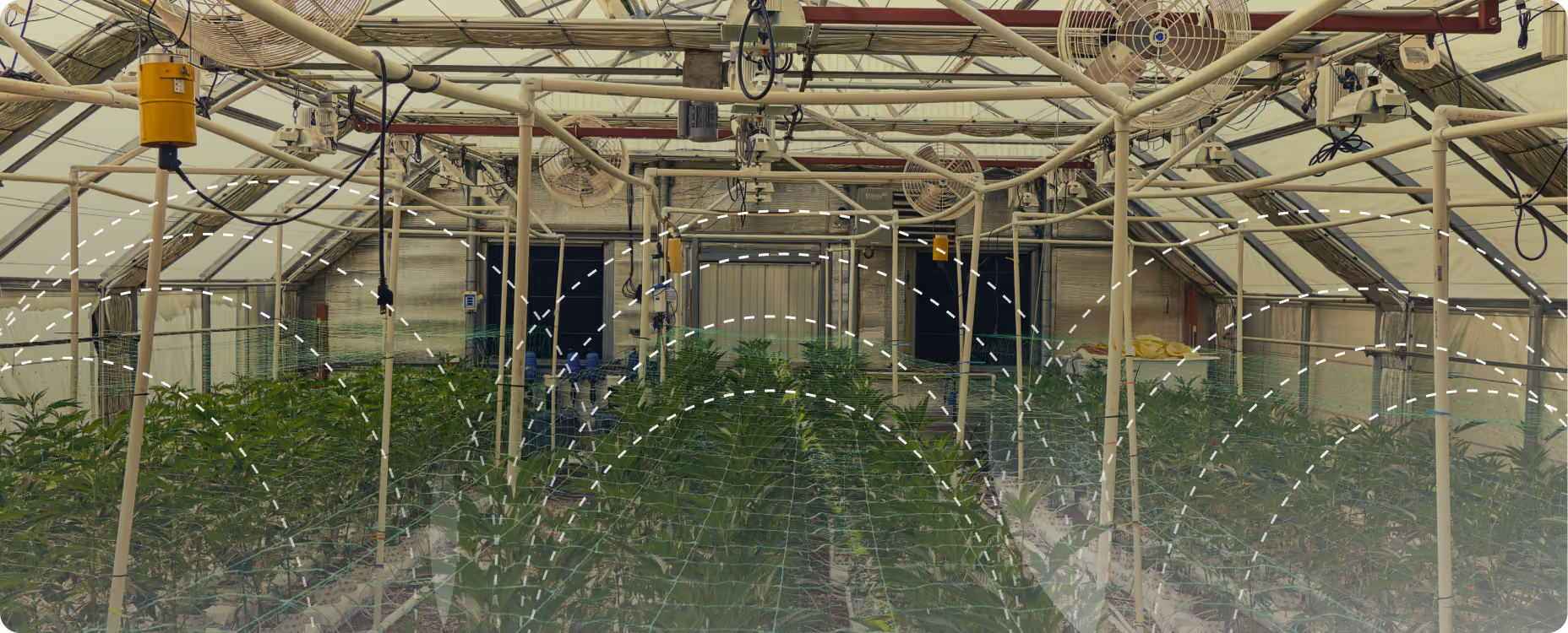 AROYA greenhouse cultivation canopy with irrigation data arc overlays