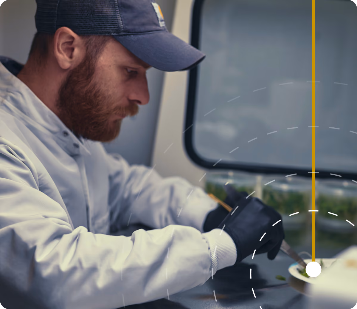 Cultivator inspecting plants in a commercial grow facility with signal arc overlay