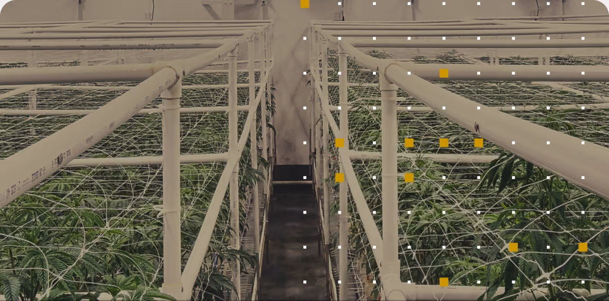 Grow room with ambient CO2 monitoring grid overlay