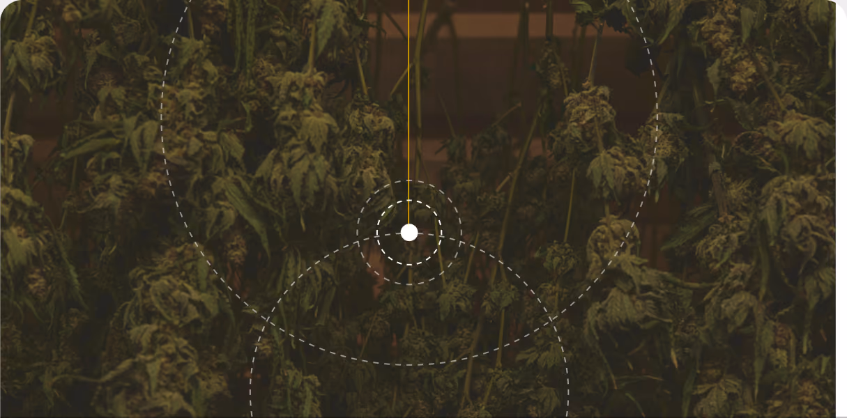 Grow room air temperature sensing illustration