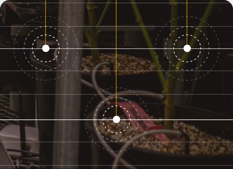 Irrigation lines and emitters running to substrate blocks in a commercial grow room