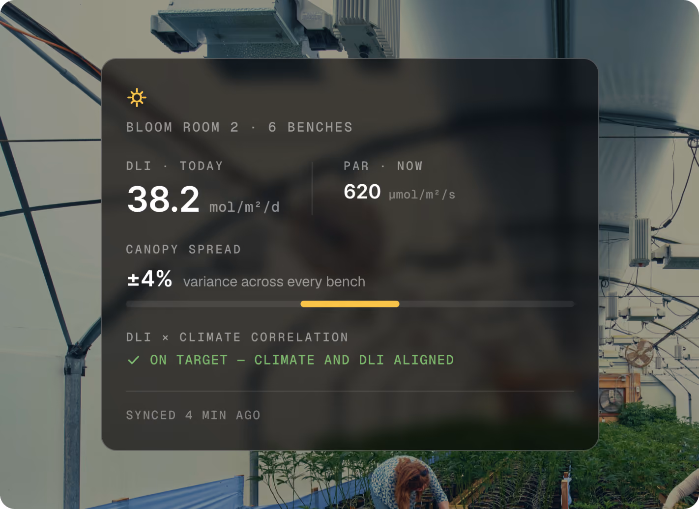 AROYA Intelligence light dashboard over a grow room, showing daily light integral, PAR and canopy spread