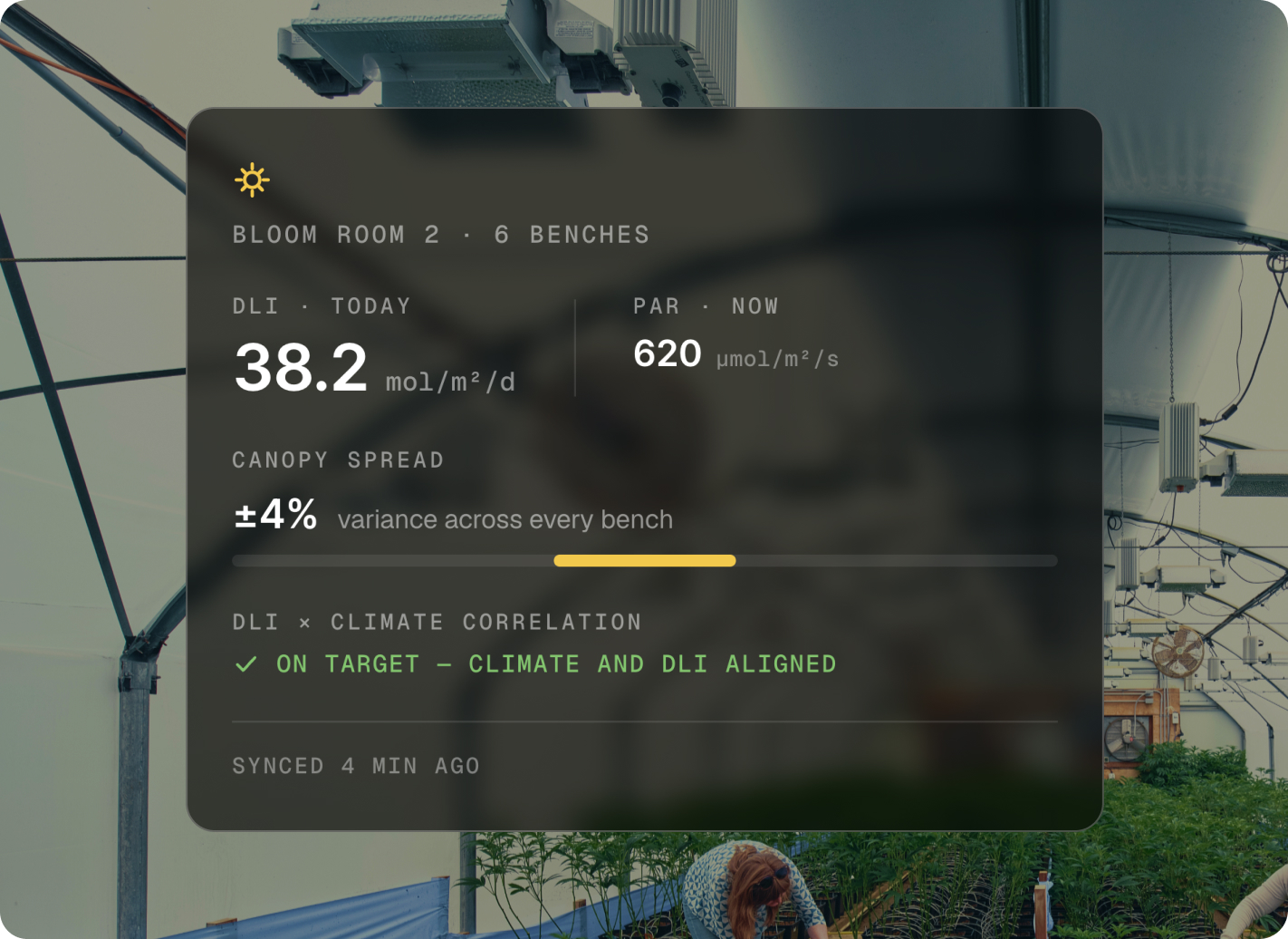AROYA Intelligence light dashboard over a grow room, showing daily light integral, PAR and canopy spread