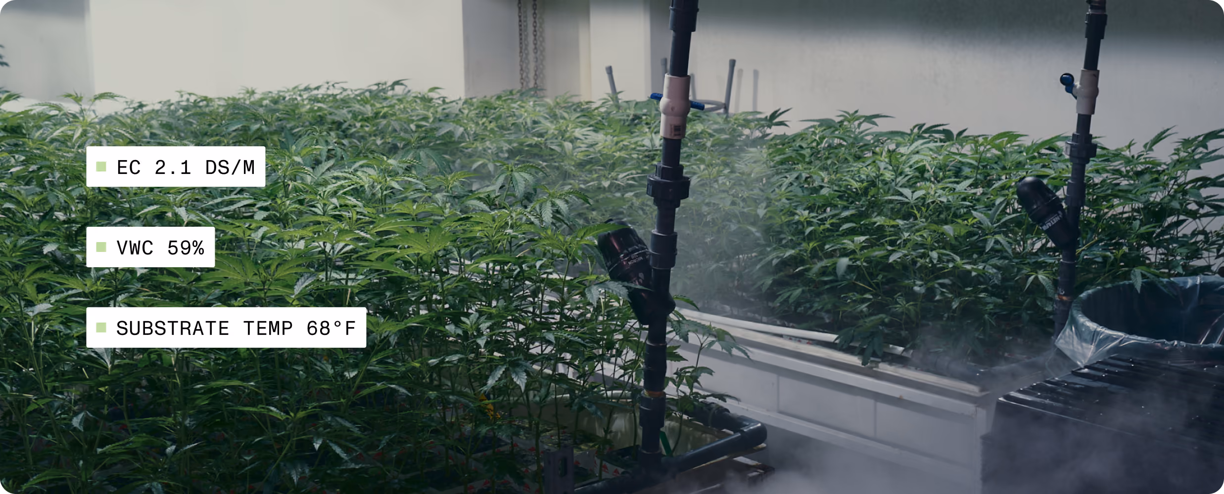 AROYA greenhouse cultivation canopy with irrigation data arc overlays