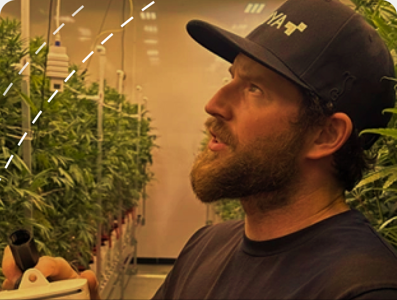 An AROYA crop consultant working alongside a grower in a flowering room